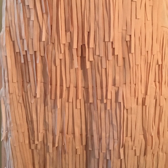 Fringe Sleeveless Blouse - Picture 2 of 6